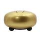 6 Lotus Steel Tongue Drum Percussion Instrument with & Carrying Bag Golden
