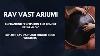 The Rav Vast Ariumi DM F The Ultimate Tongue Drum Experience